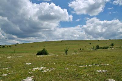 Прикрепленное изображение: IMGP6595.jpg